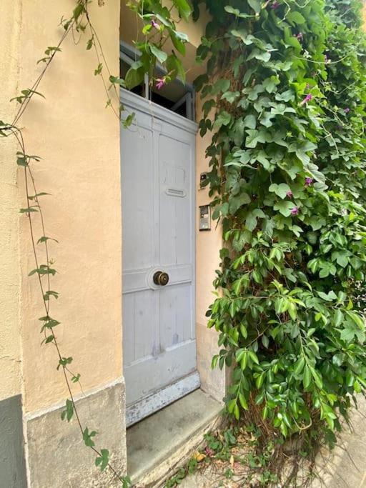 Click! Casa Lamartine Fabulous Ideal Location Walk To All!!! * Cassis